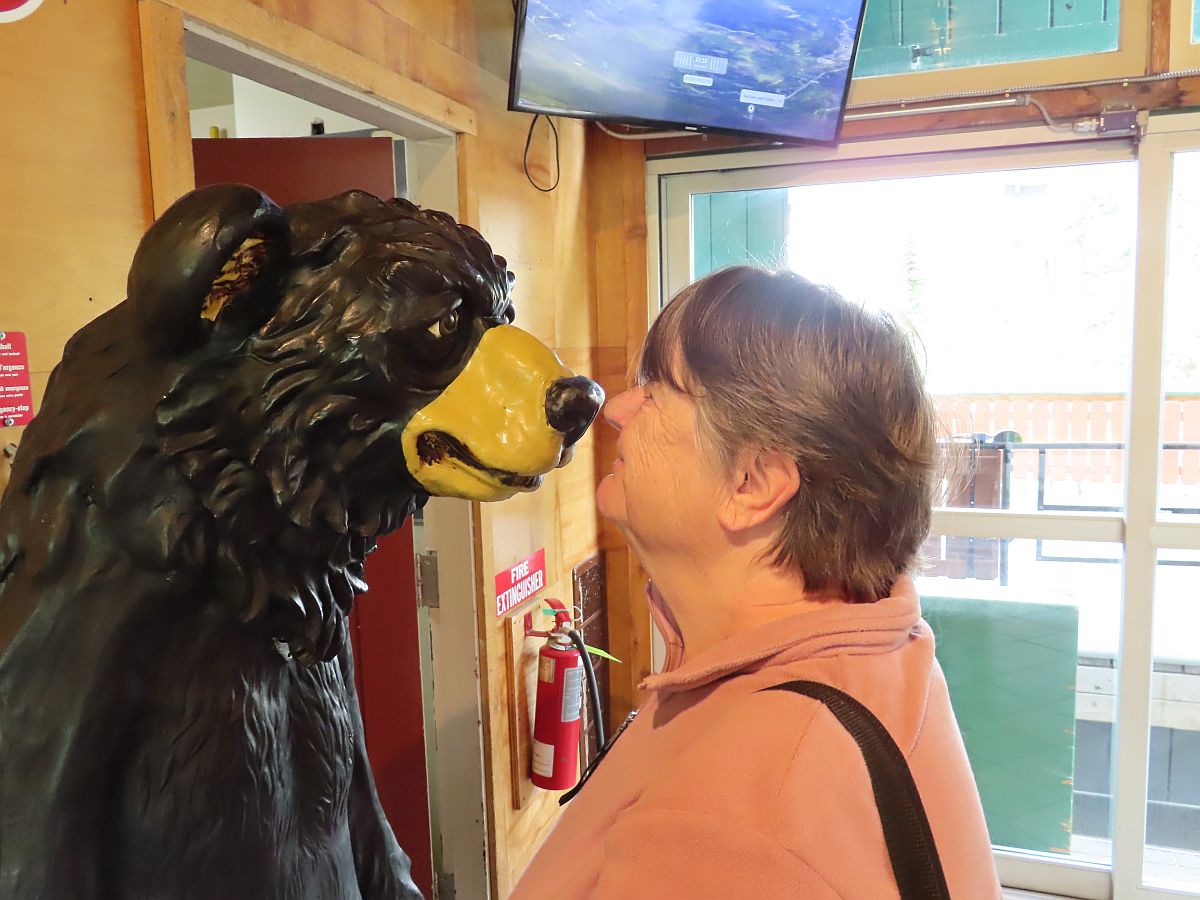 Debbie meets a bear