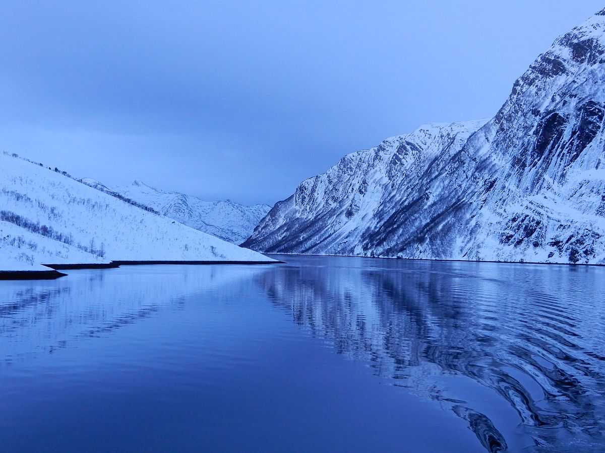 Fjord in blue light